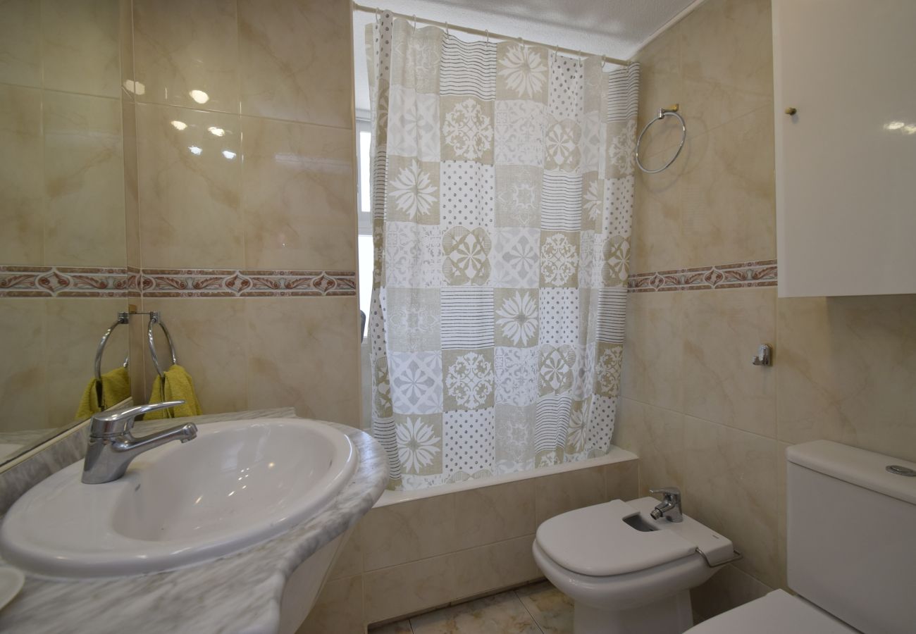 Appartement in Benidorm - ALBATROS (1 SLAAPKAMER)