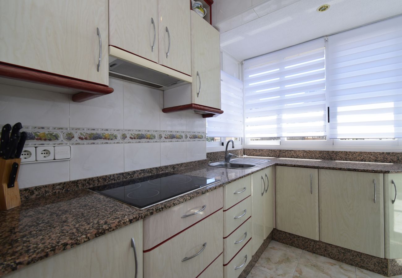 Appartement in Benidorm - ALBATROS (1 SLAAPKAMER)