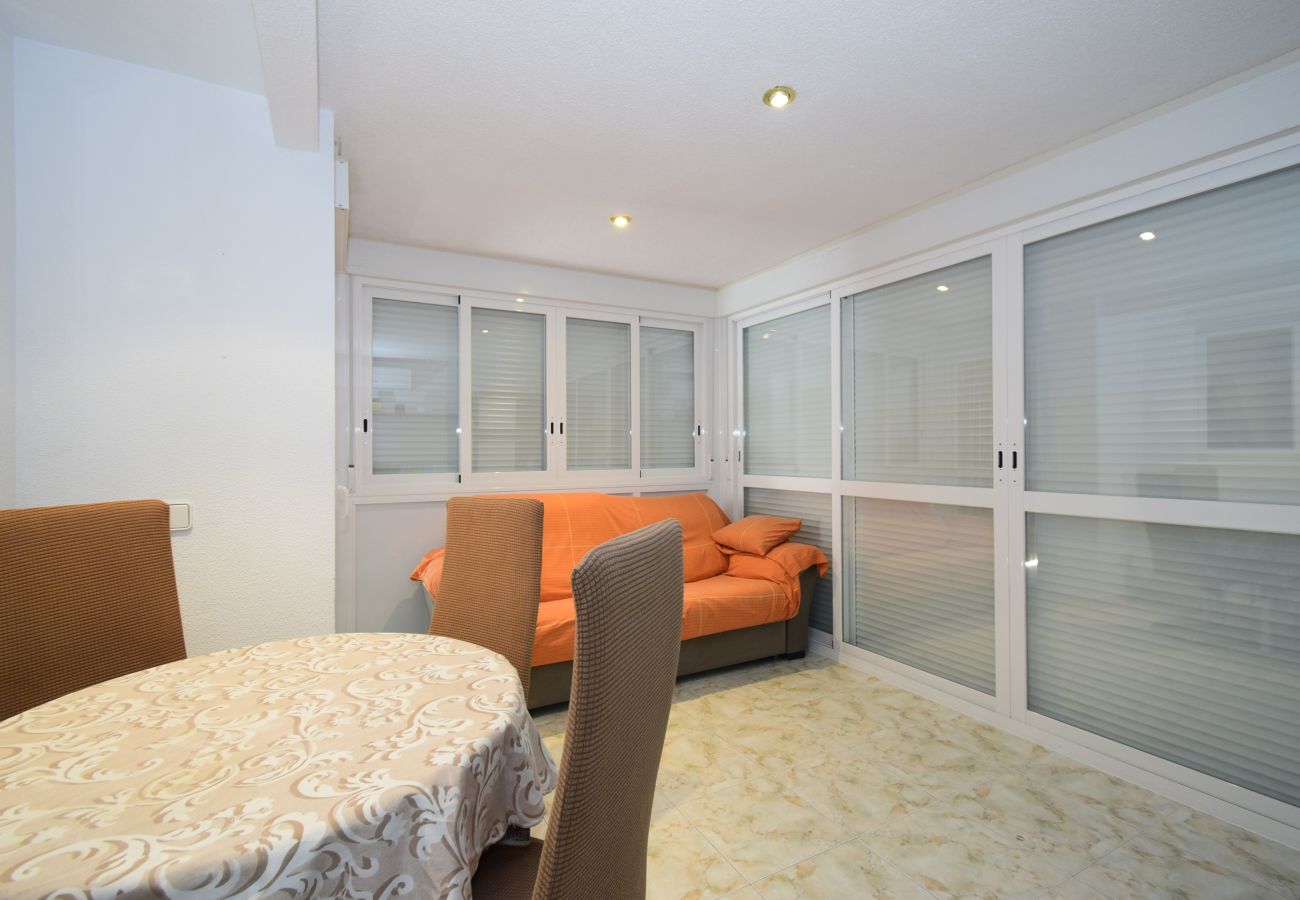 Appartement in Benidorm - ALBATROS (1 SLAAPKAMER)