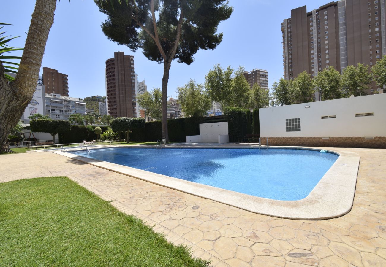 Appartement in Benidorm - ALBATROS (1 SLAAPKAMER)