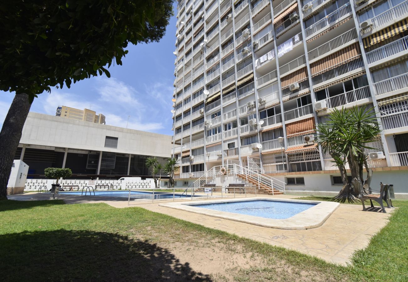 Appartement in Benidorm - ALBATROS (1 SLAAPKAMER)