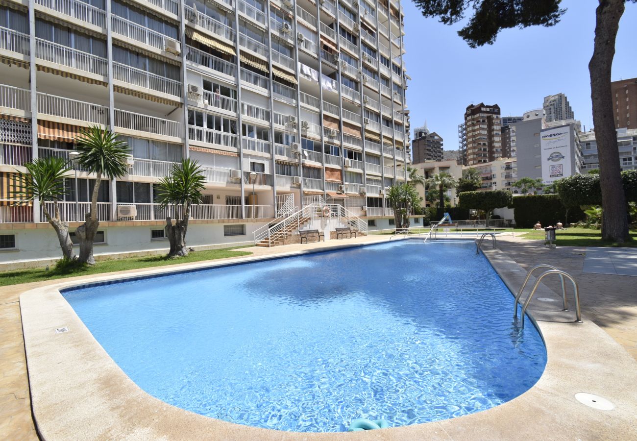 Appartement in Benidorm - ALBATROS (1 SLAAPKAMER)