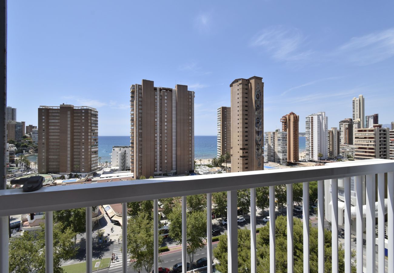 Appartement in Benidorm - ALBATROS (1 SLAAPKAMER)