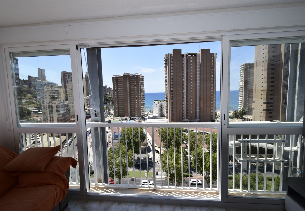 Appartement in Benidorm - ALBATROS (1 SLAAPKAMER)