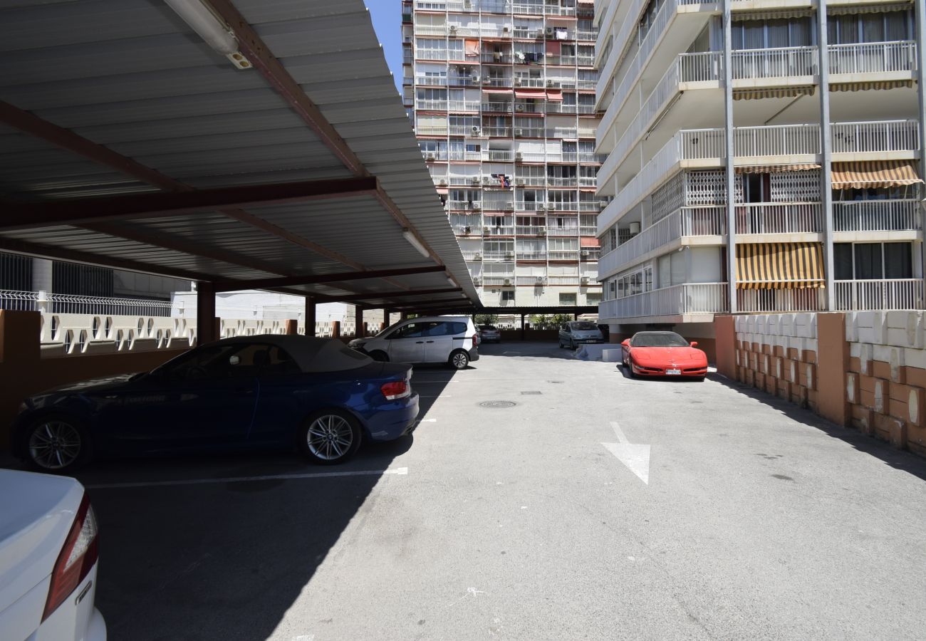 Appartement in Benidorm - ALBATROS (1 SLAAPKAMER)