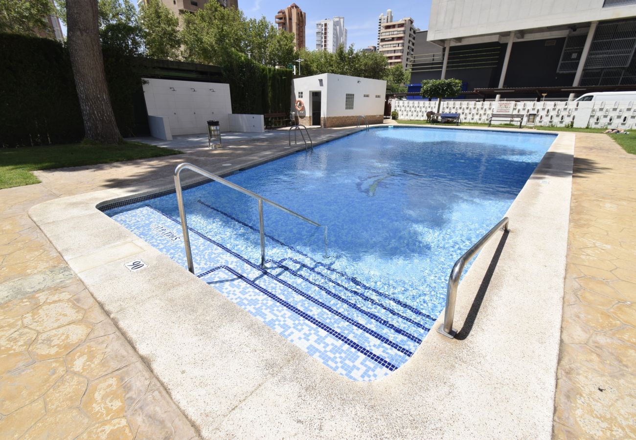 Appartement in Benidorm - ALBATROS (1 SLAAPKAMER)