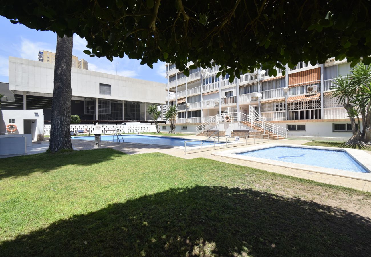 Appartement in Benidorm - ALBATROS (1 SLAAPKAMER)