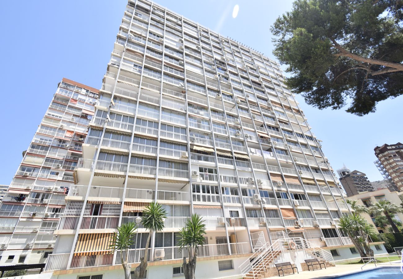 Appartement in Benidorm - ALBATROS (1 SLAAPKAMER)