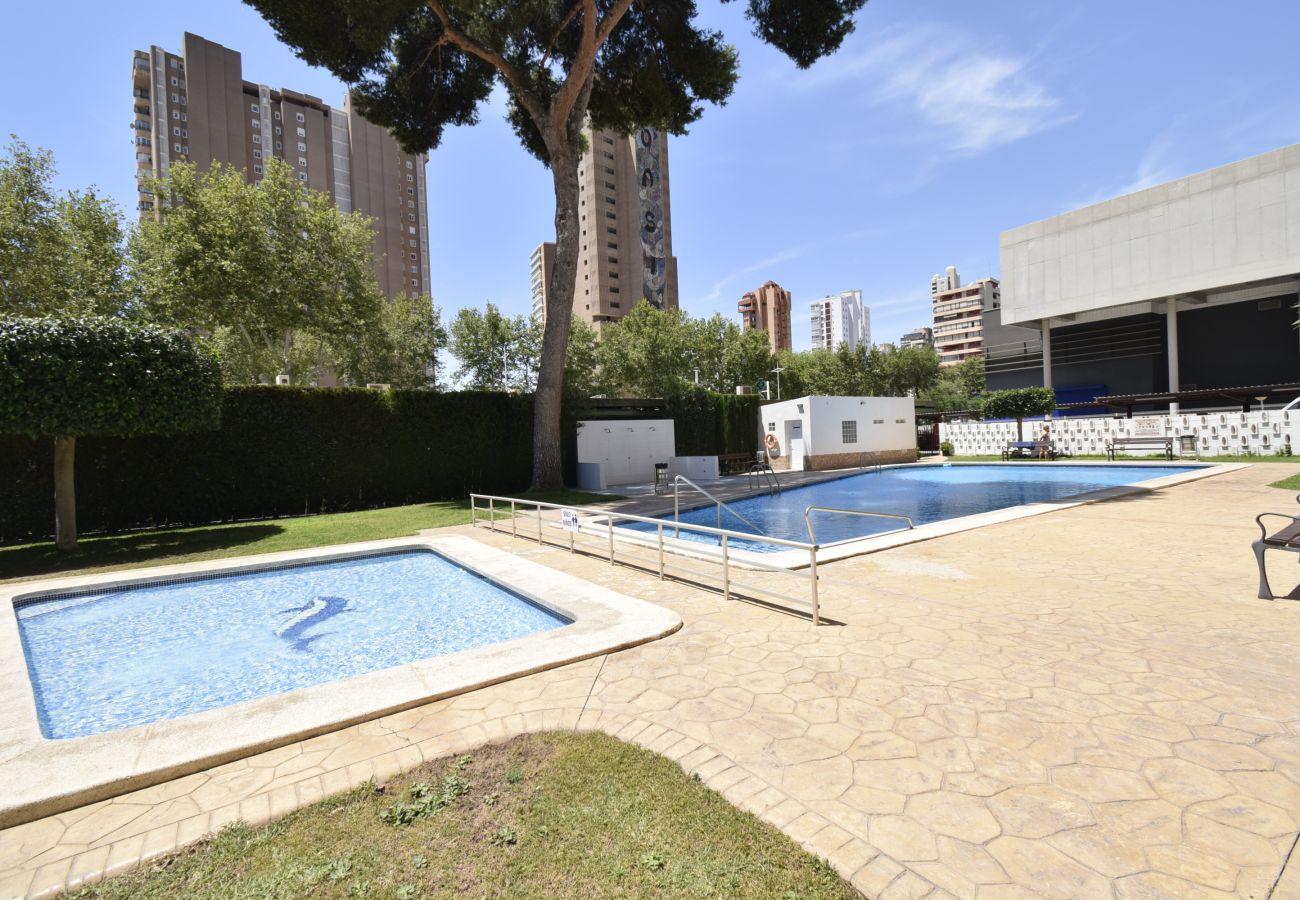 Appartement in Benidorm - ALBATROS (1 SLAAPKAMER)