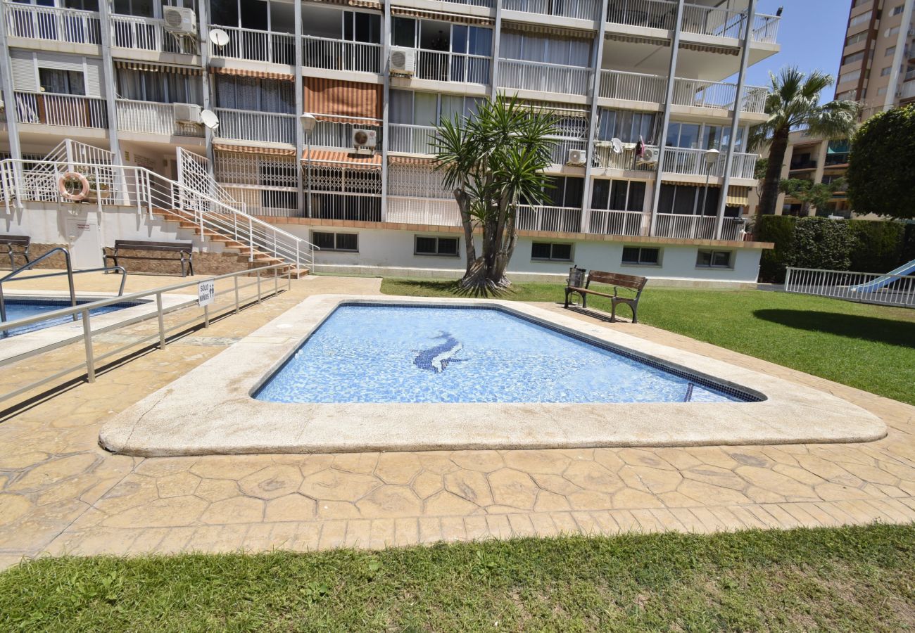 Appartement in Benidorm - ALBATROS (1 SLAAPKAMER)