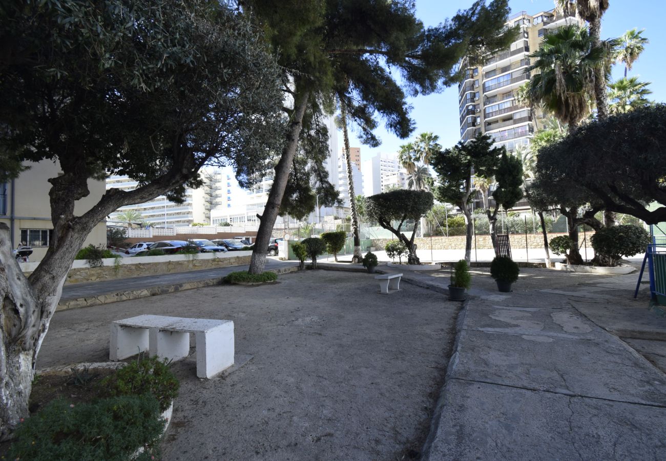 Appartement in Benidorm - DONA (2 SLAAPKAMER)