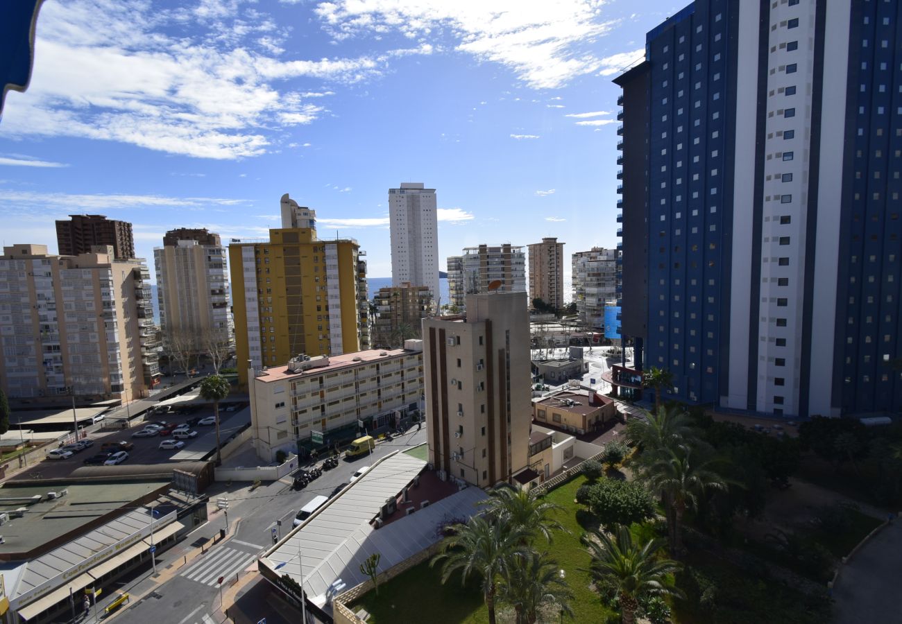 Appartement in Benidorm - DONA (2 SLAAPKAMER)