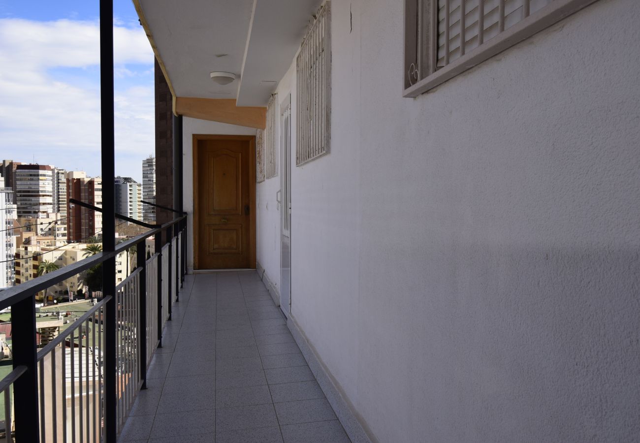 Appartement in Benidorm - DONA (2 SLAAPKAMER)