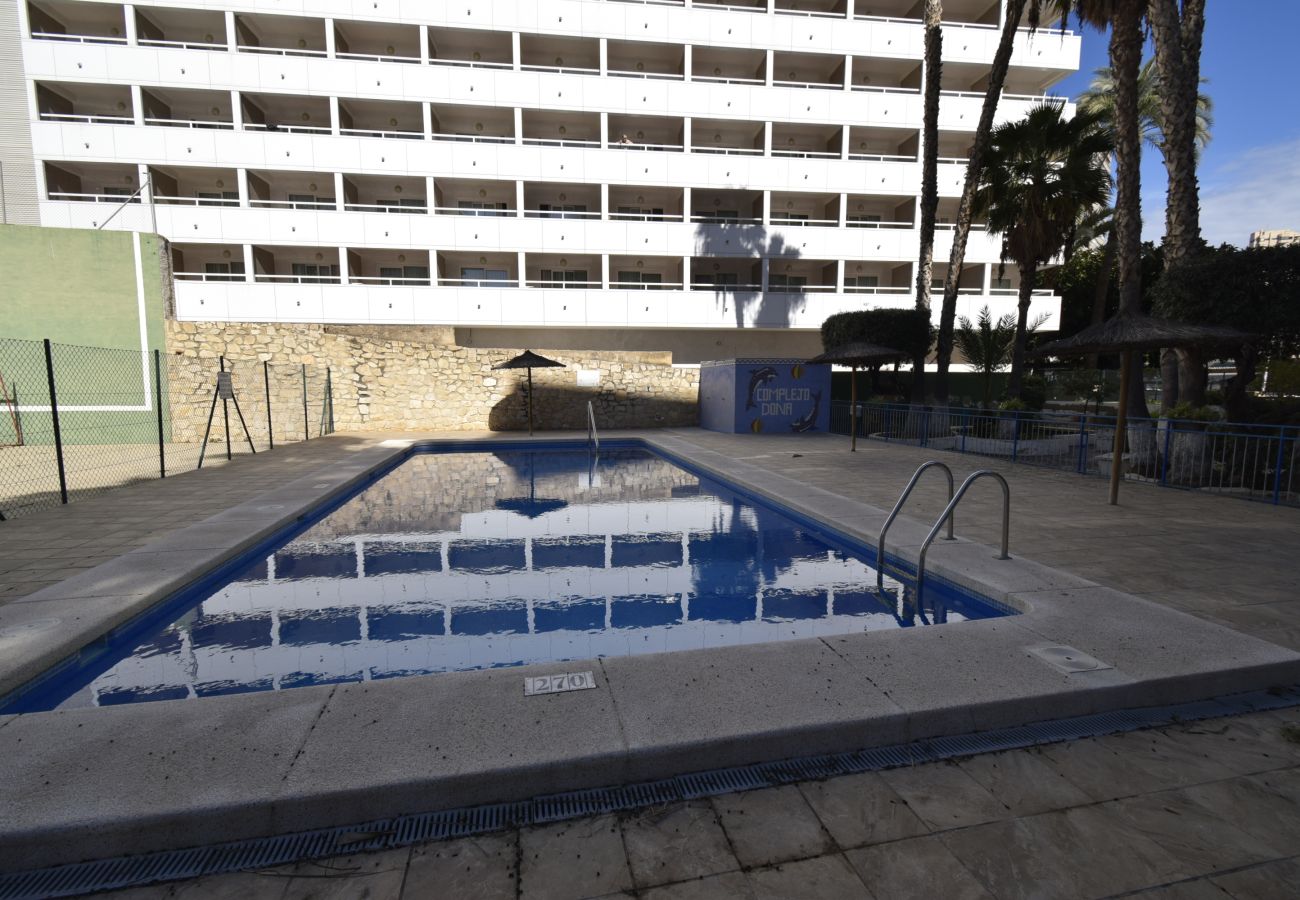 Appartement in Benidorm - DONA (2 SLAAPKAMER)