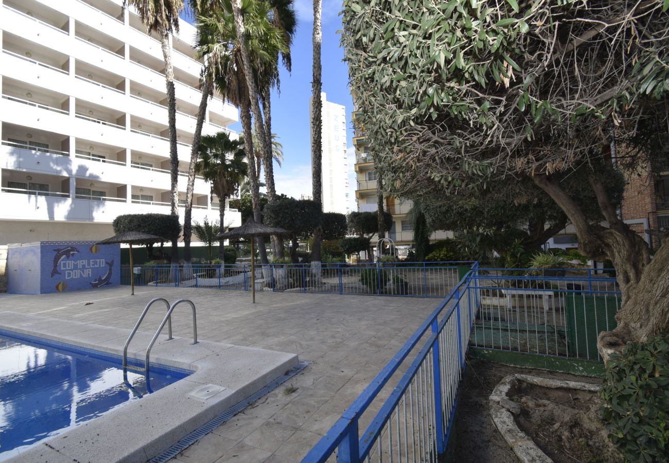 Appartement in Benidorm - DONA (2 SLAAPKAMER)