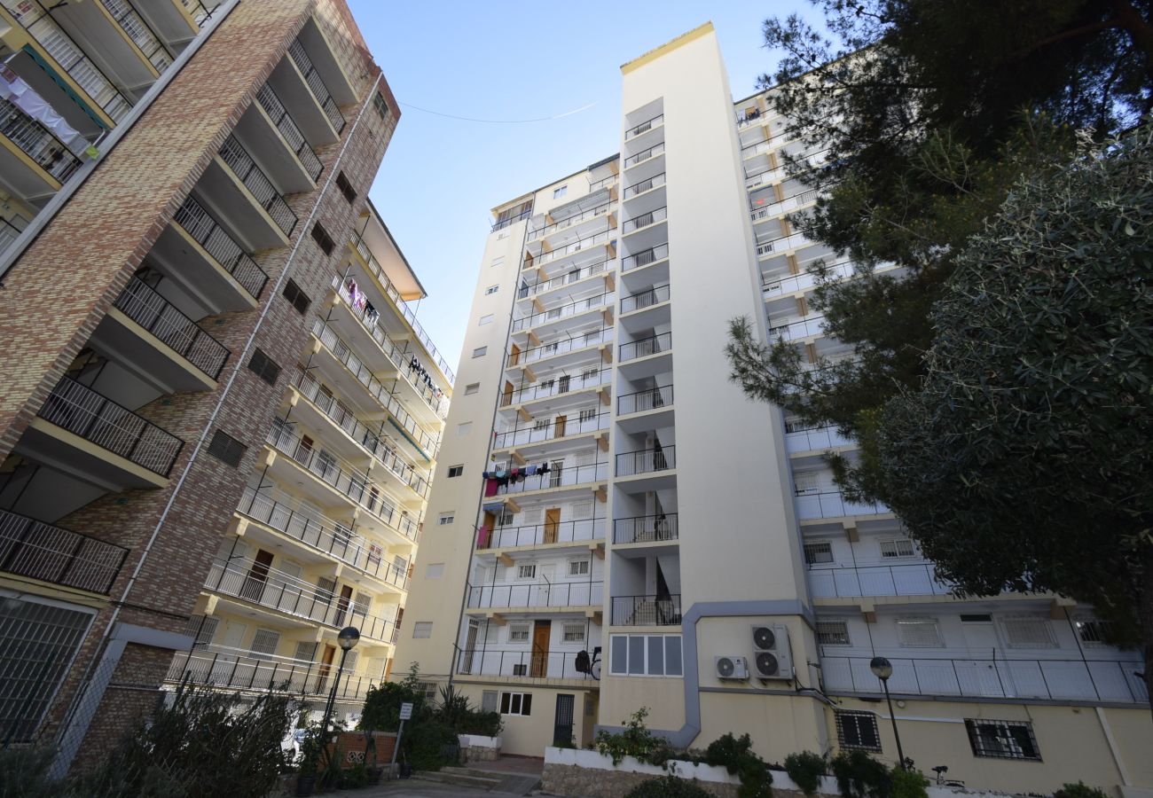 Appartement in Benidorm - DONA (2 SLAAPKAMER)