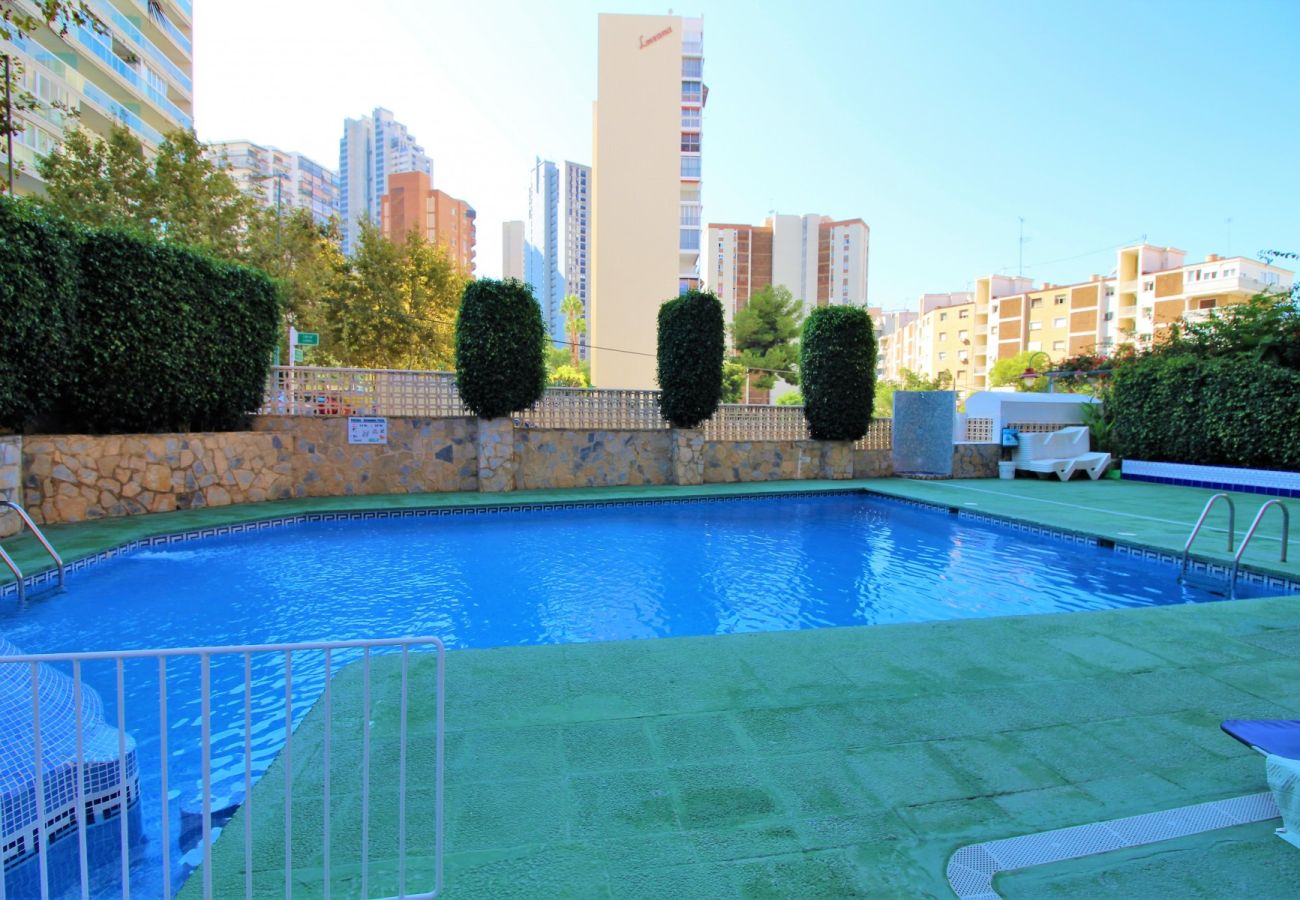 Appartement in Benidorm - CADIZ (1 SLAAPKAMER)