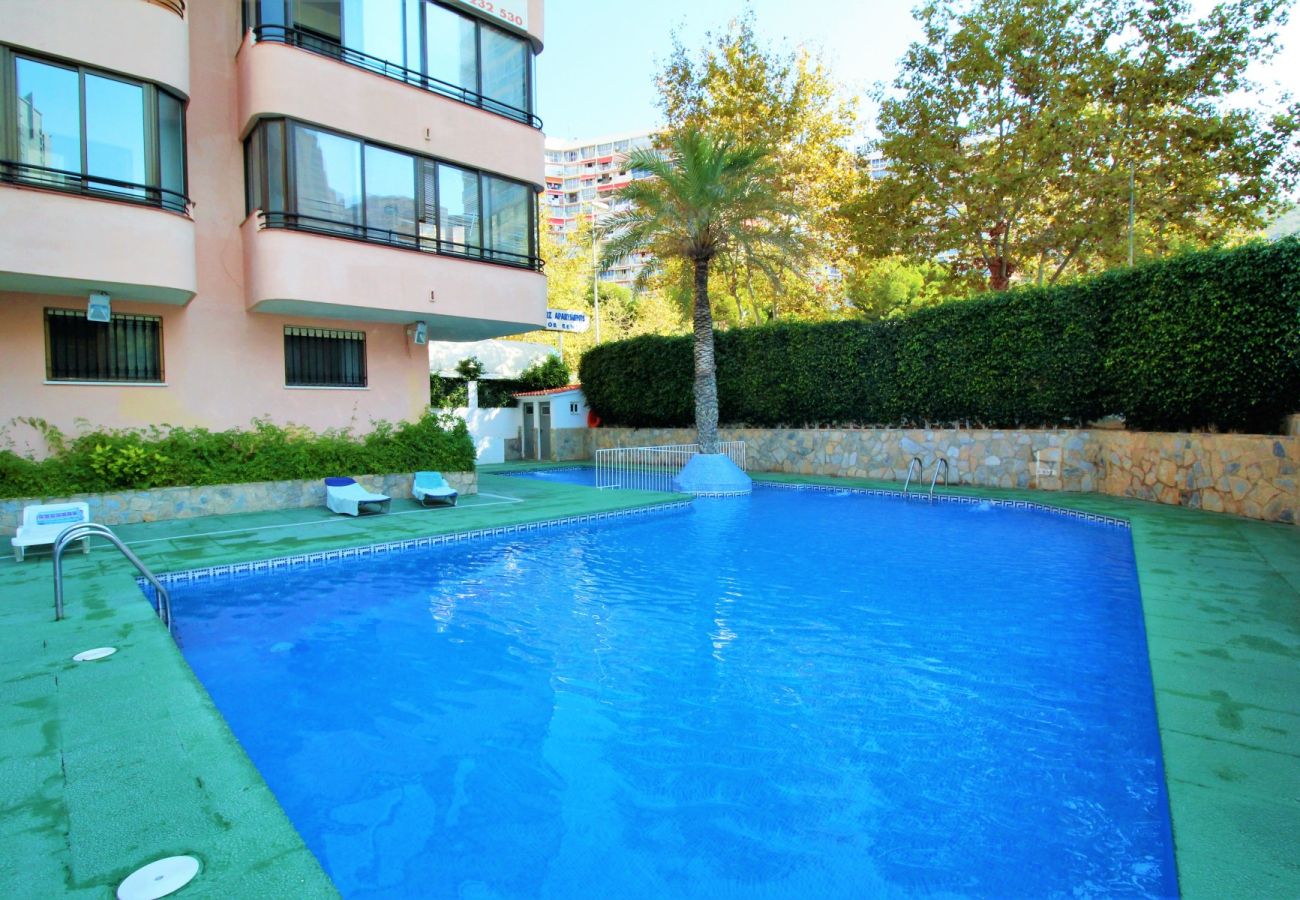 Appartement in Benidorm - CADIZ (1 SLAAPKAMER)