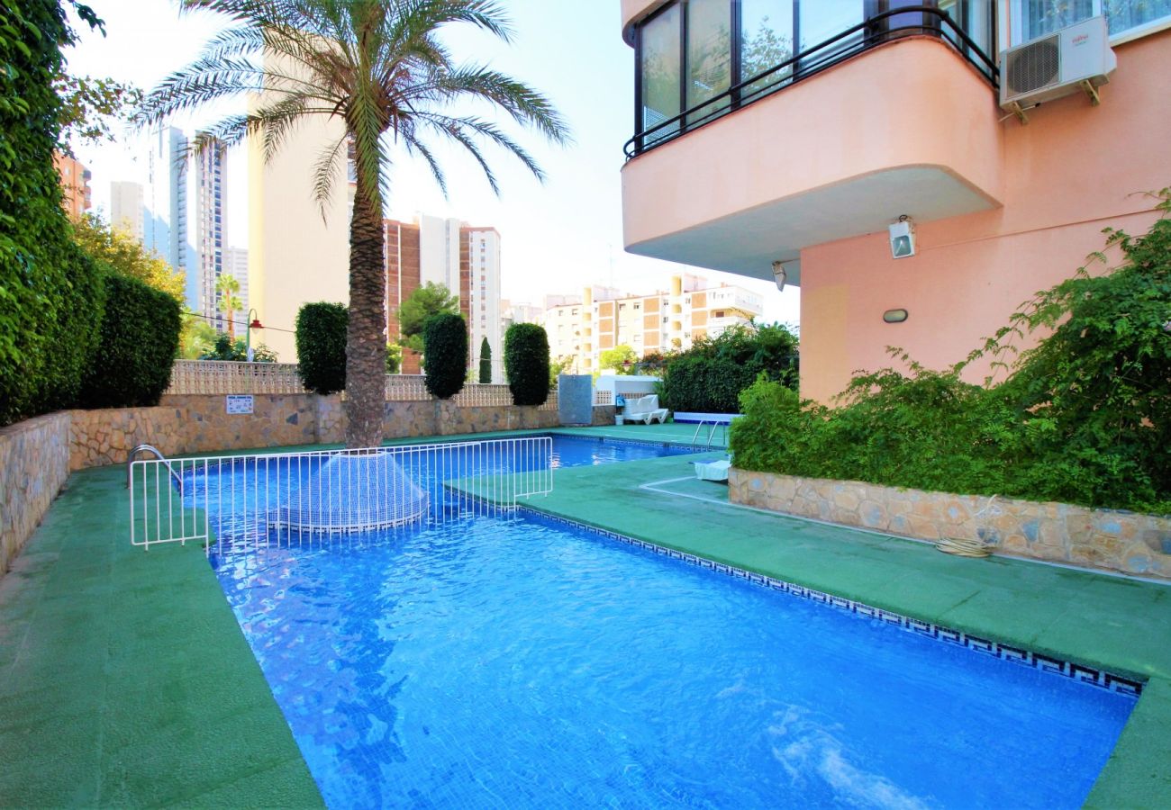 Appartement in Benidorm - CADIZ (1 SLAAPKAMER)