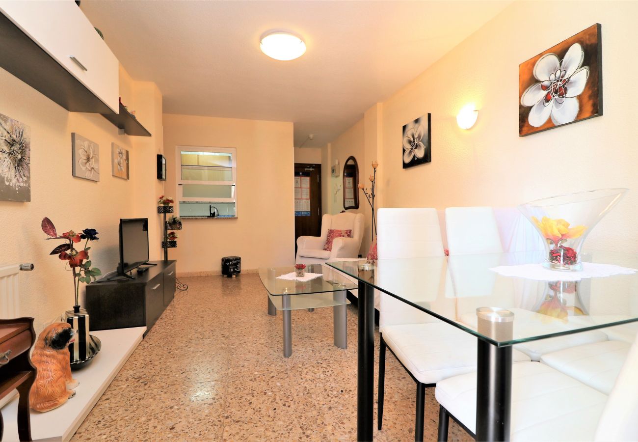 Appartement in Benidorm - CADIZ (1 SLAAPKAMER)