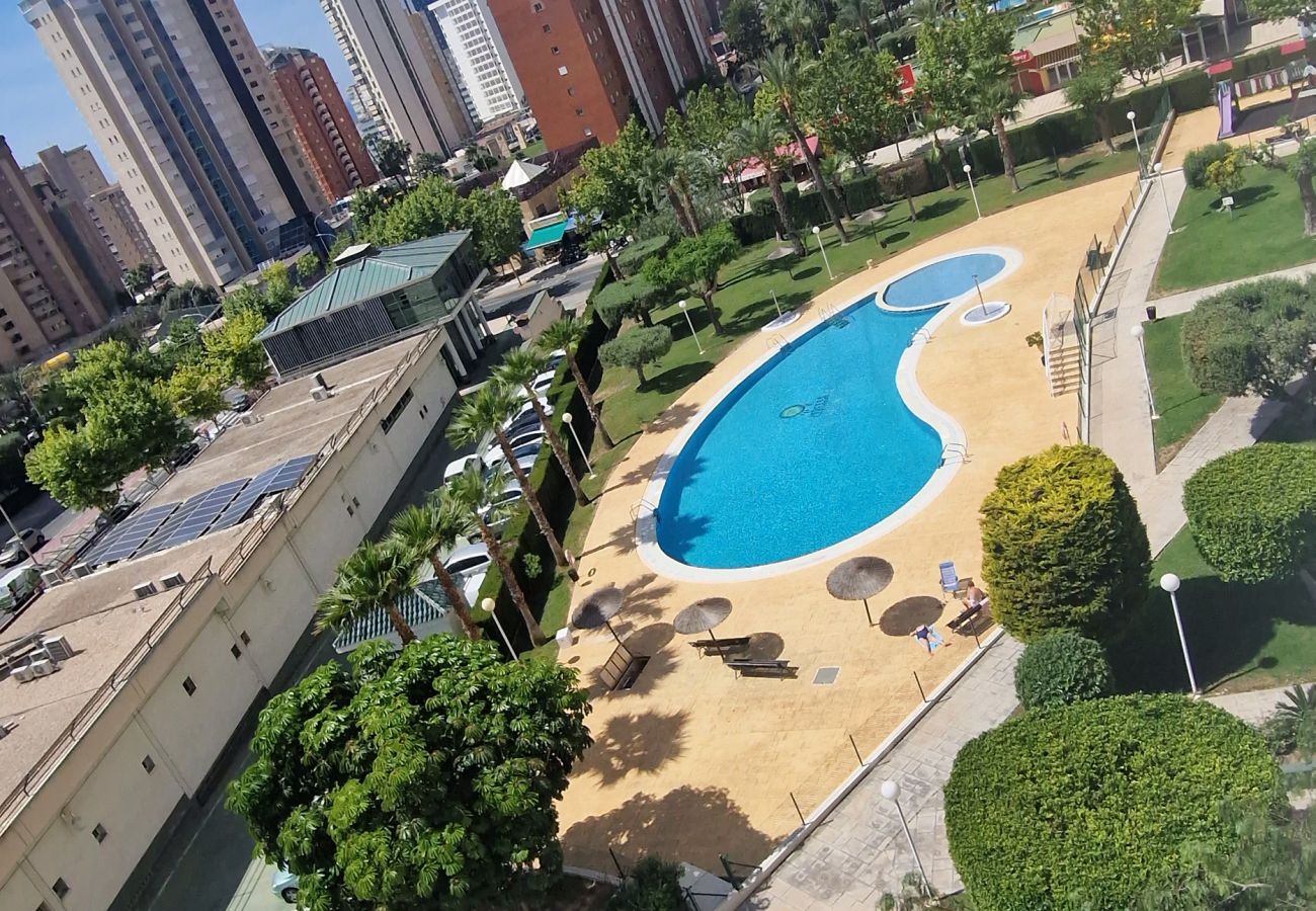 Appartement in Benidorm - CIBELES (2 SLAAPKAMER)