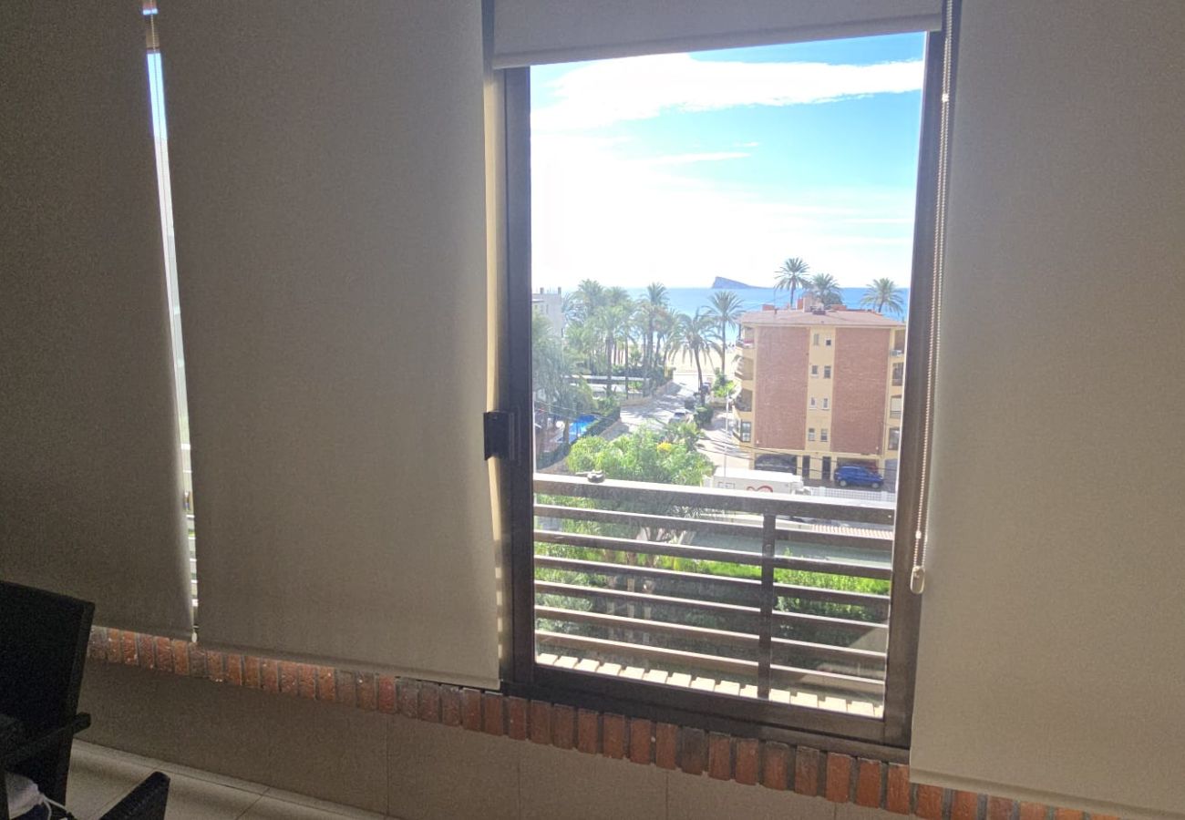 Appartement in Benidorm - CASTELMAR 1C  (1 SLAAPKAMER)