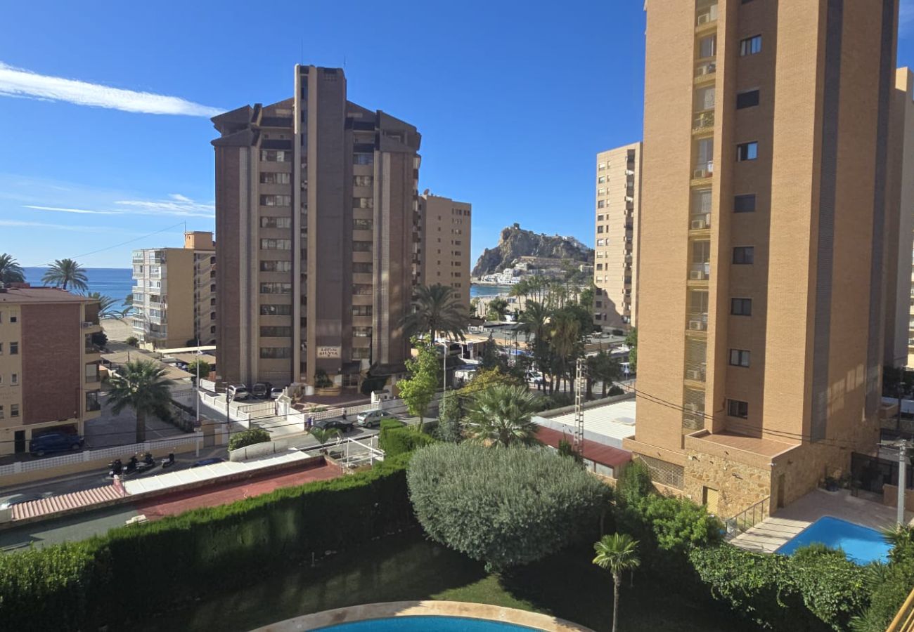 Appartement in Benidorm - CASTELMAR 1C  (1 SLAAPKAMER)