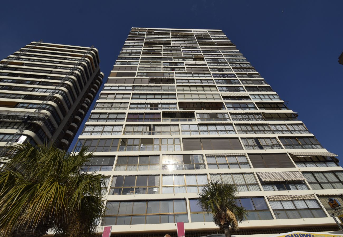 Appartement in Benidorm - LOS GEMELOS (1 SLAAPKAMER)