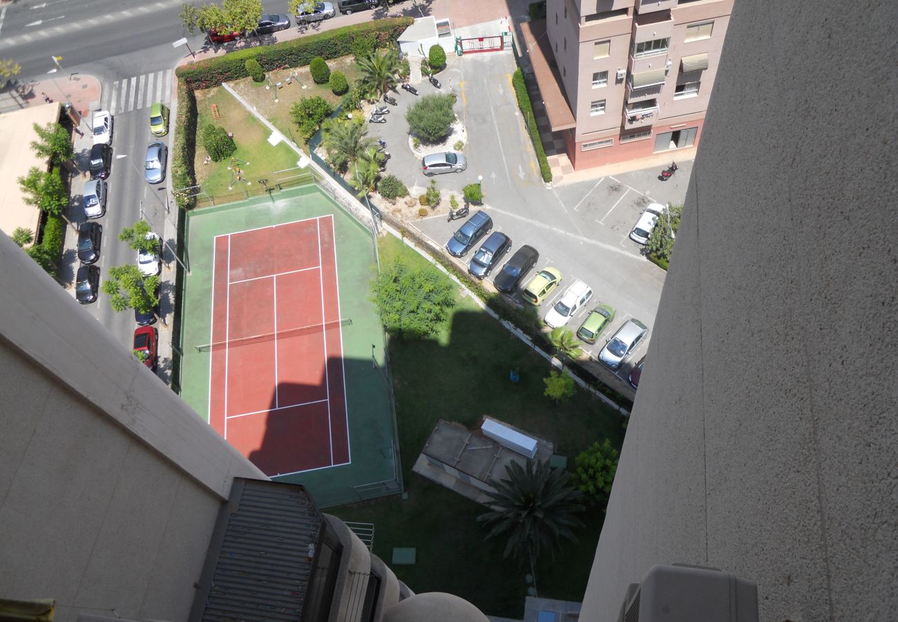 Appartement in Benidorm - SAN FRANCISCO 14B1 (1  SLAAPKAMER)