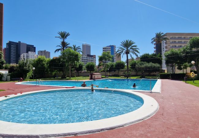  in Benidorm - LIDERSOL 14G2 (2 SLAAPKAMER)