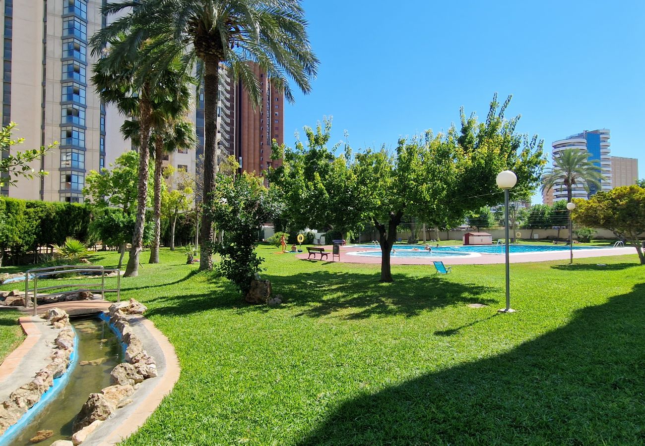 Appartement in Benidorm - LIDERSOL 14G2 (2 SLAAPKAMER)