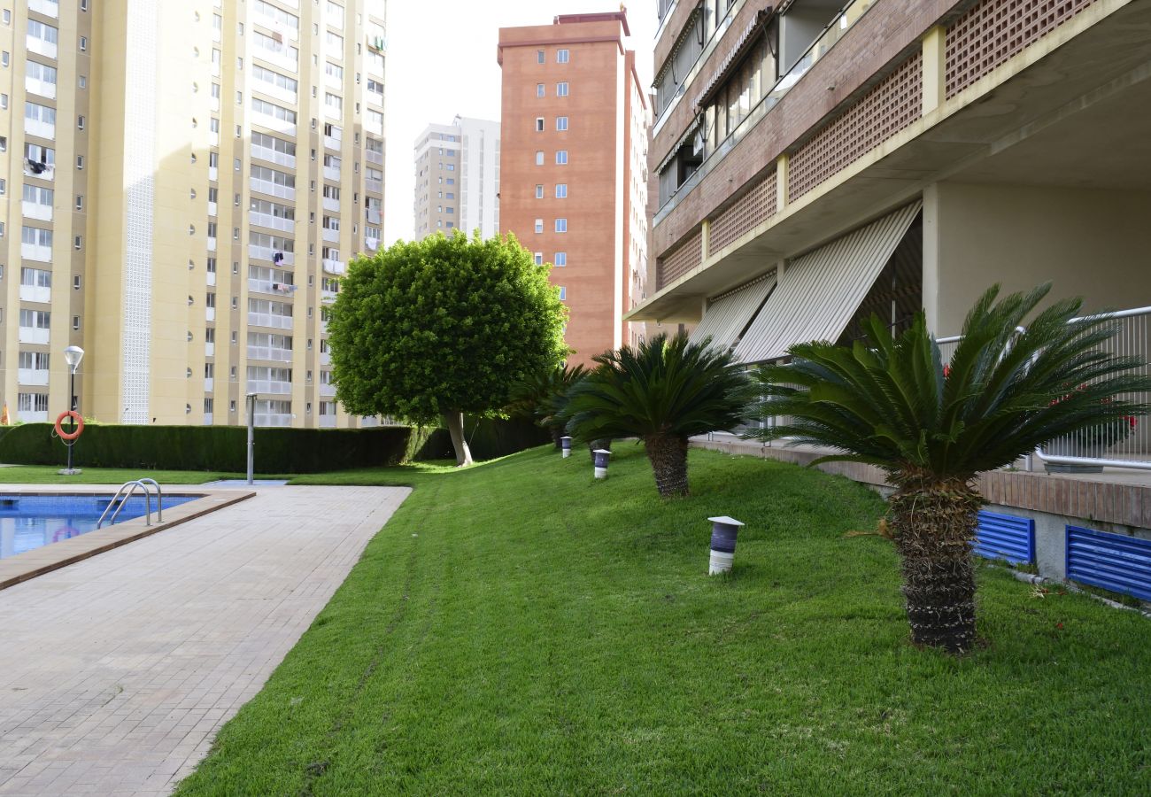 Appartement à Benidorm - PARAISO ESPERANTO (1 CHAMBRE)