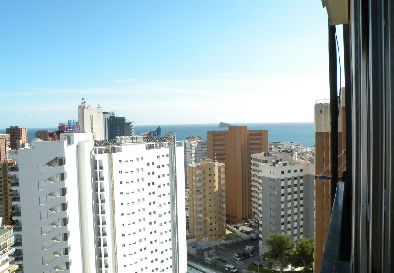 Appartement à Benidorm - ACACIAS 4 (1 CHAMBRE)