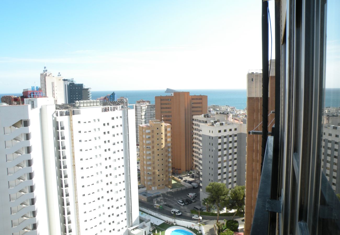 Appartement à Benidorm - ACACIAS 4 (1 CHAMBRE)