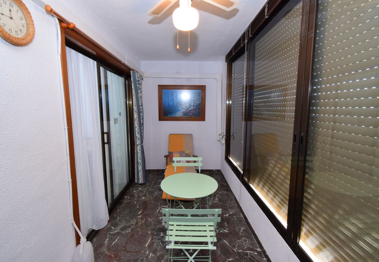 Appartement à Benidorm - BENIBEACH (1  CHAMBRE)