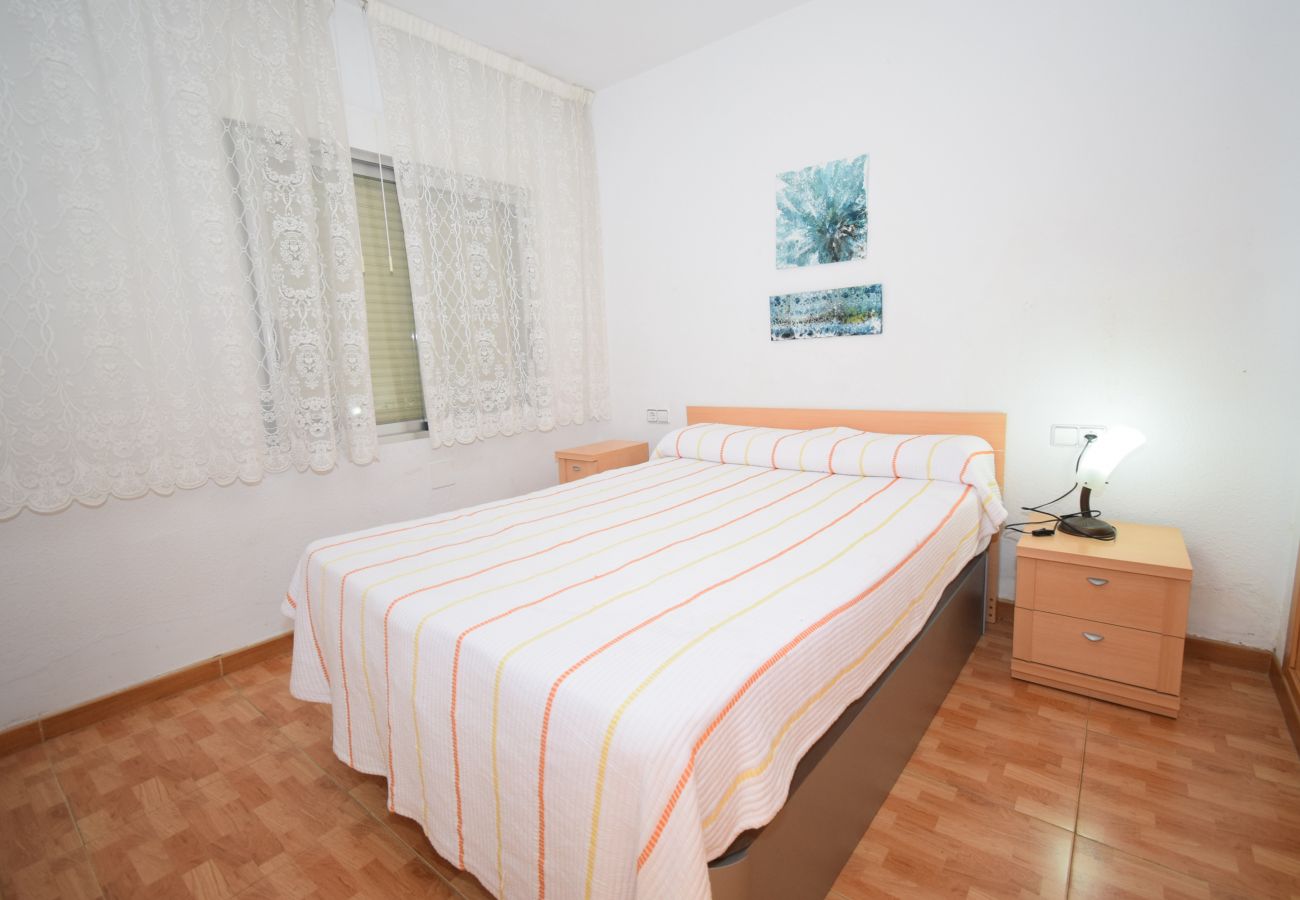 Appartement à Benidorm - DON PACO  (2 CHAMBRES)