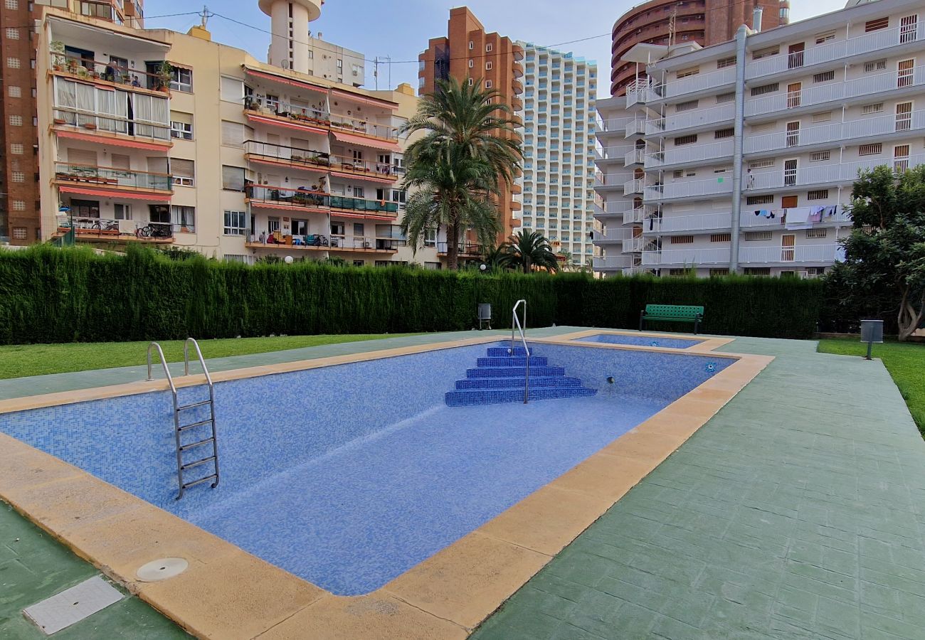 Appartement à Benidorm - DON PACO  (2 CHAMBRES)