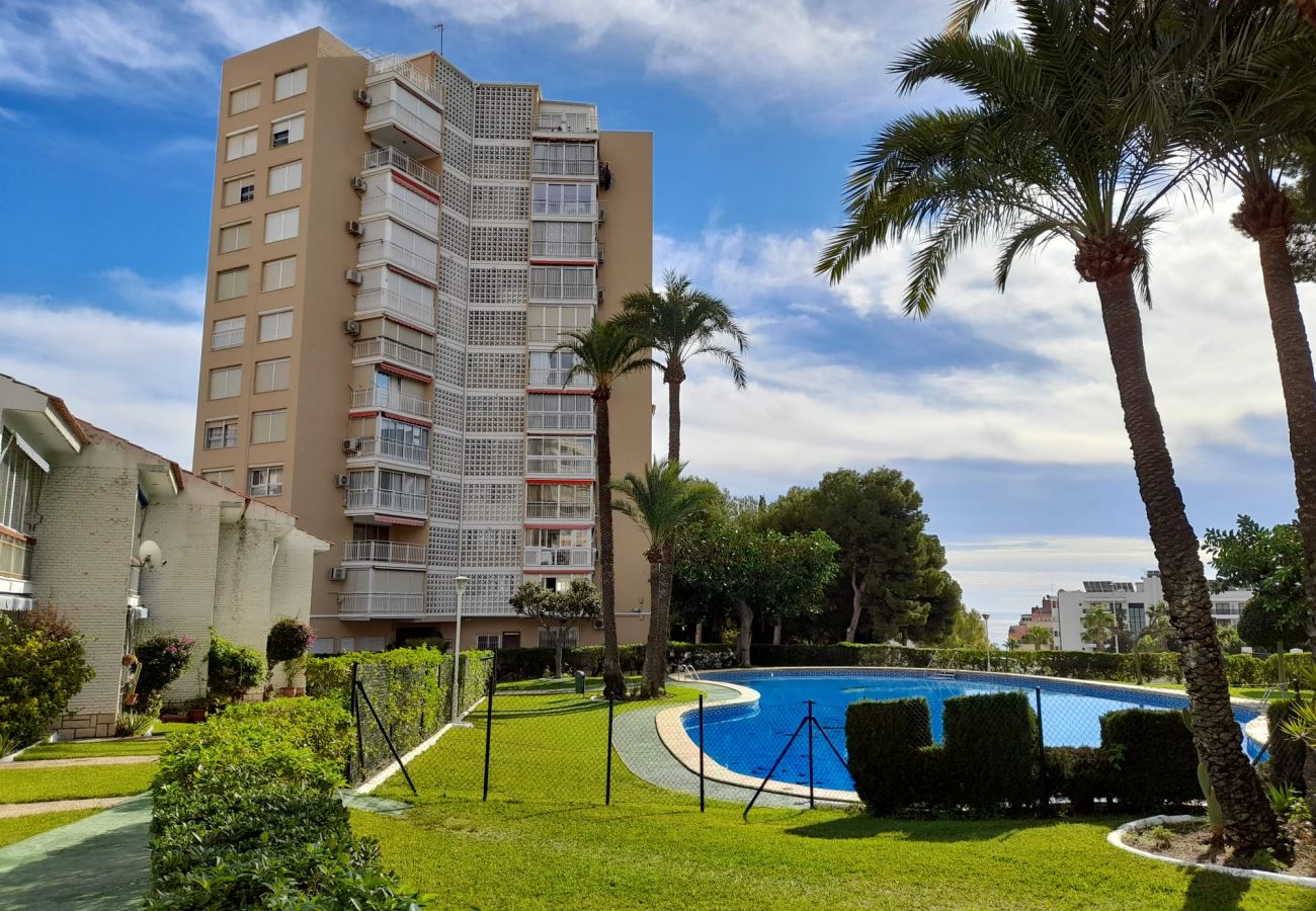 Appartement à Benidorm - URBANIZACION MIRAMAR (1 CHAMBRE)