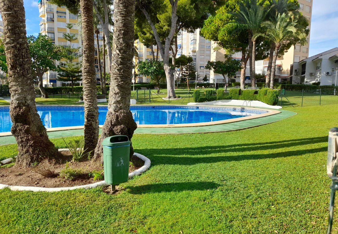 Appartement à Benidorm - URBANIZACION MIRAMAR (1 CHAMBRE)