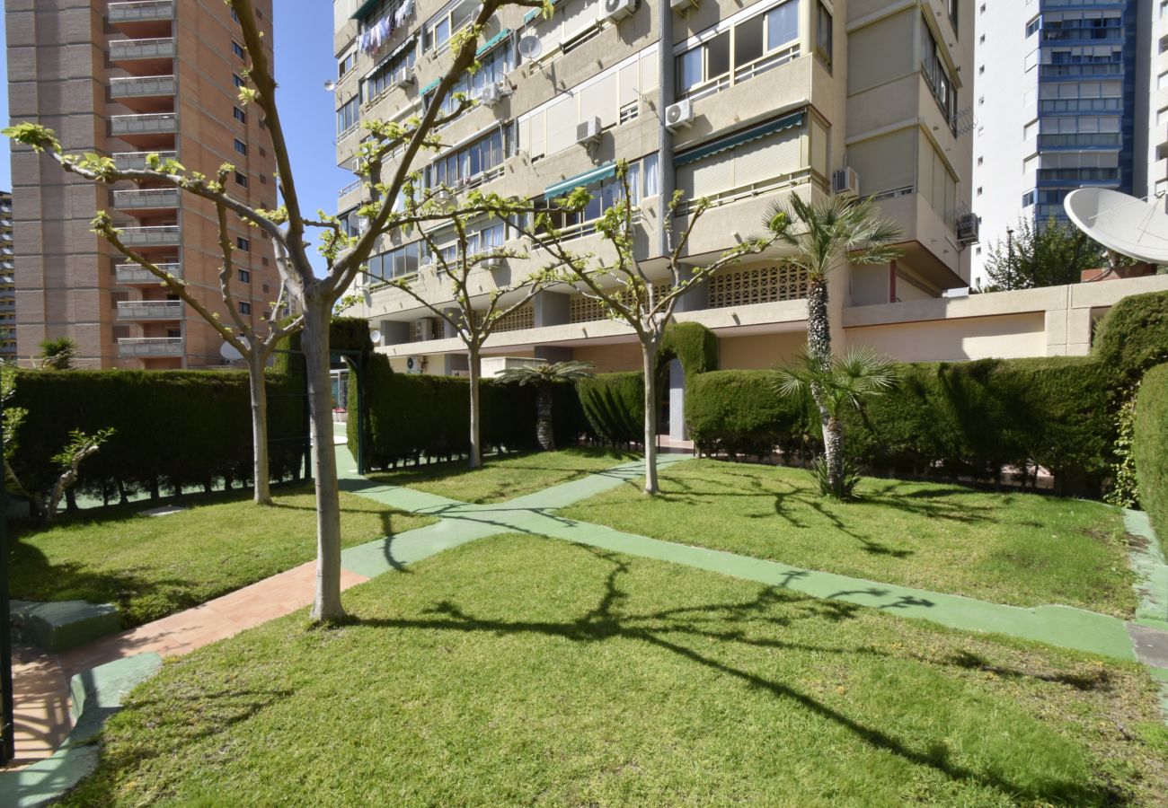 Appartement à Benidorm - MARISCAL 4 (1 CHAMBRE)