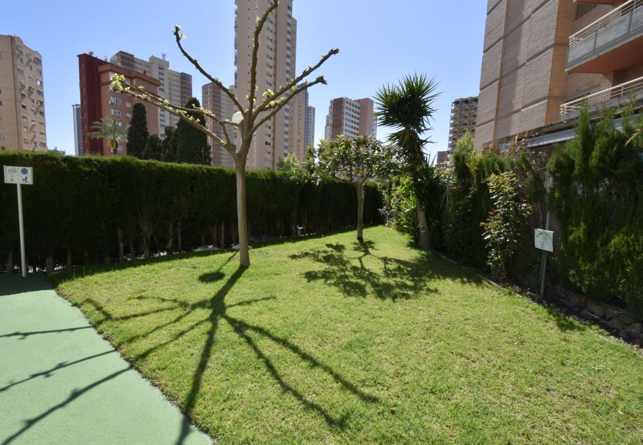 Appartement à Benidorm - MARISCAL 4 (1 CHAMBRE)