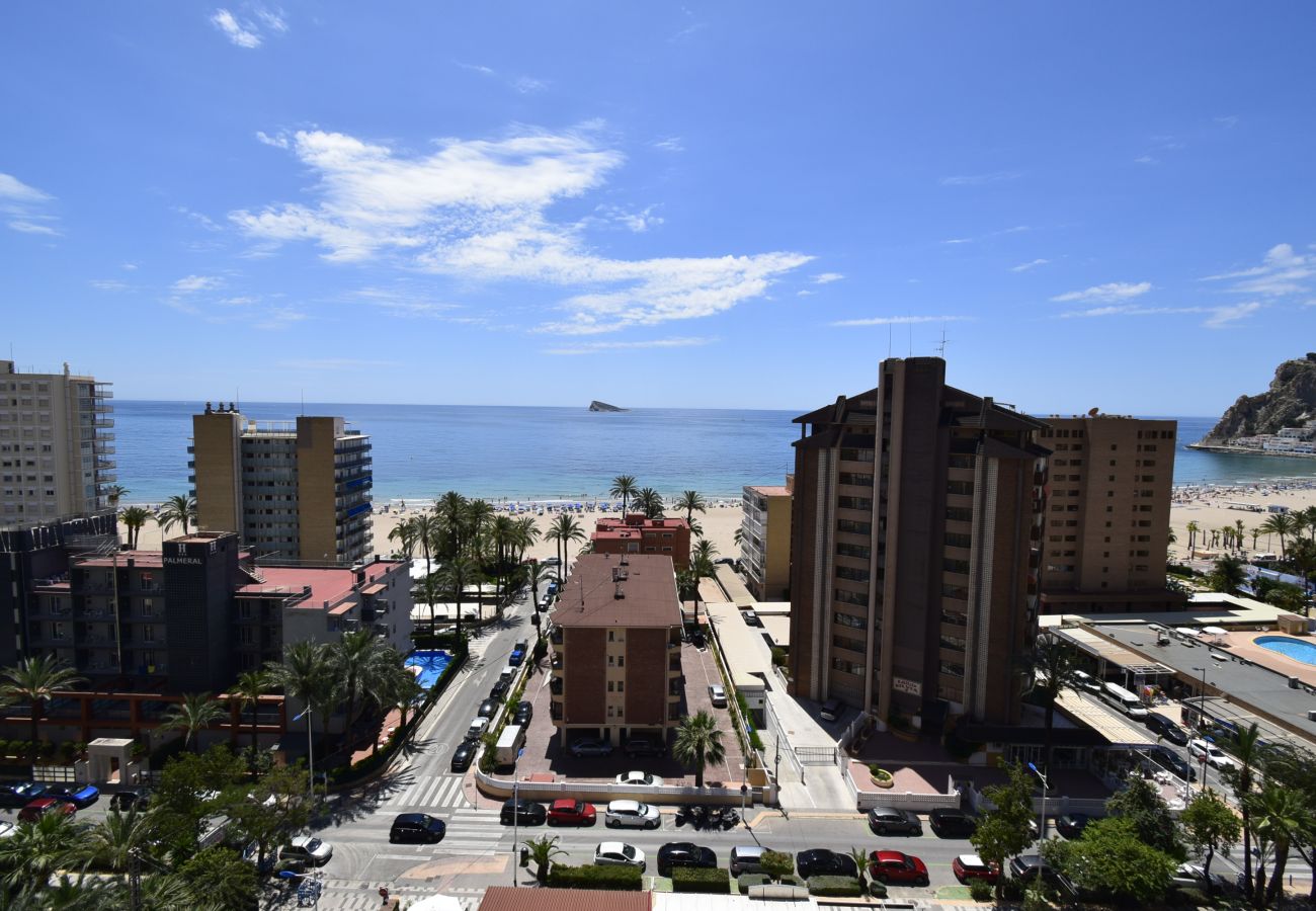 Appartamento a Benidorm - CASTELMAR (1 CAMERA)