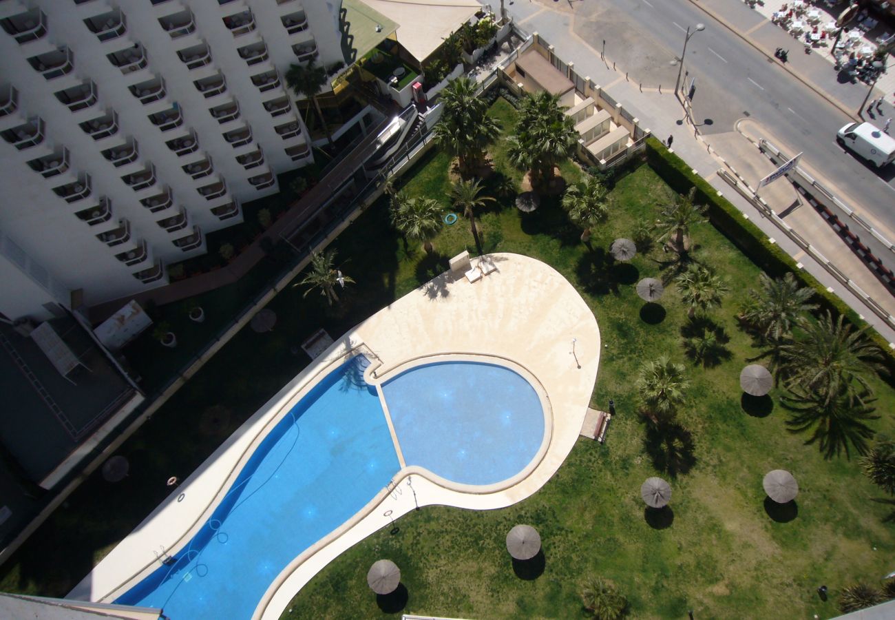 Apartamento em Benidorm - GEMELOS 26 (1 QUARTO)