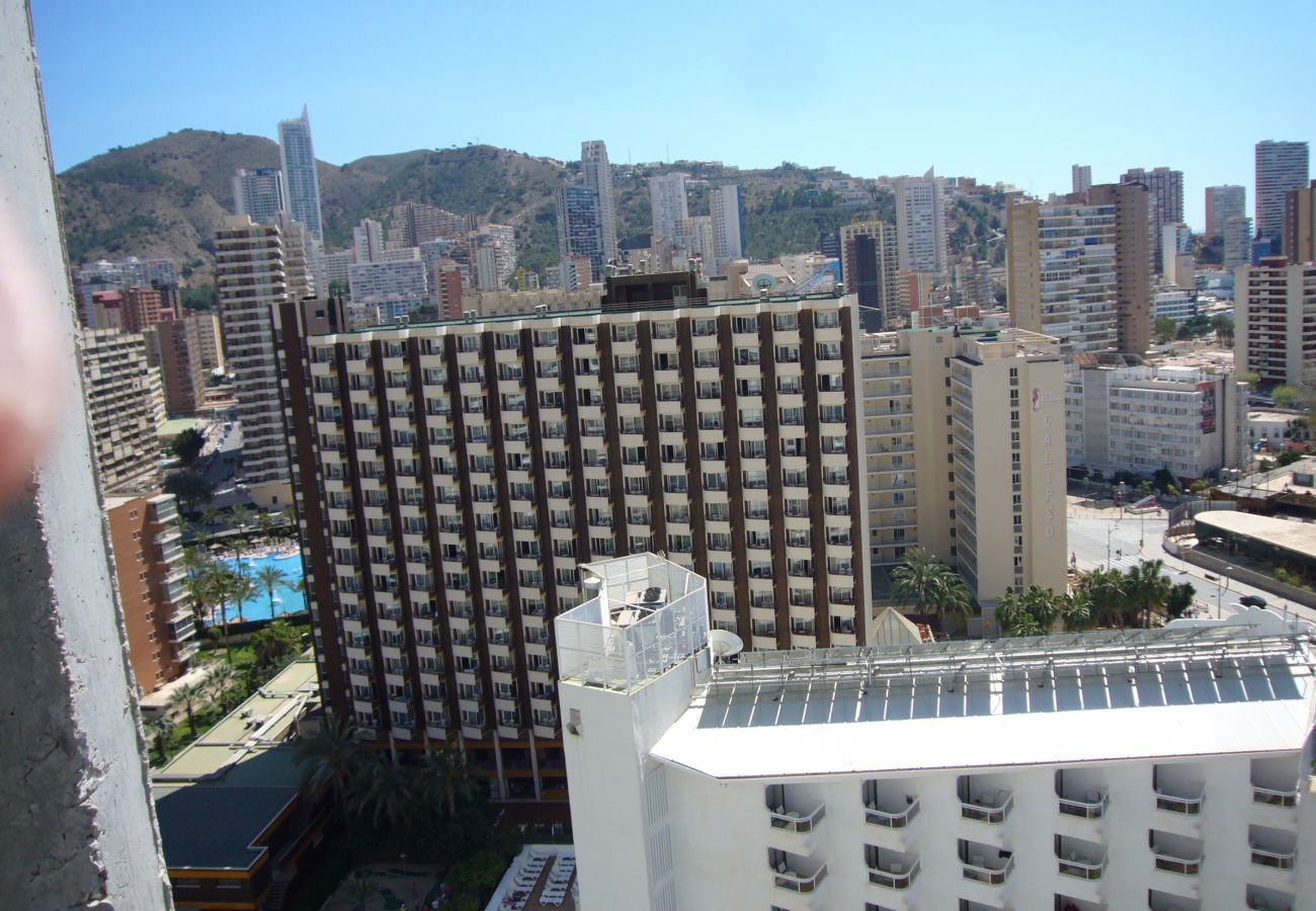 Apartamento em Benidorm - GEMELOS 26 (1 QUARTO)