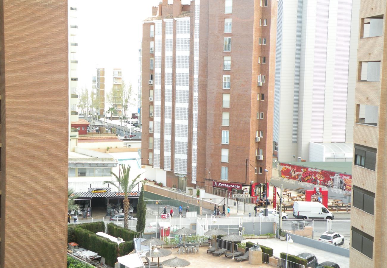 Apartamento em Benidorm - KAROLA (1 QUARTO) BENIDORM