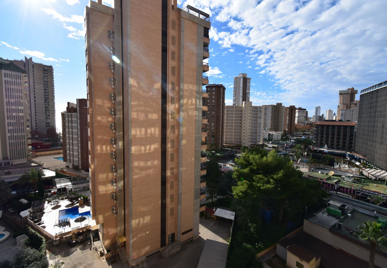 Apartamento em Benidorm - KAROLA (1 QUARTO) BENIDORM