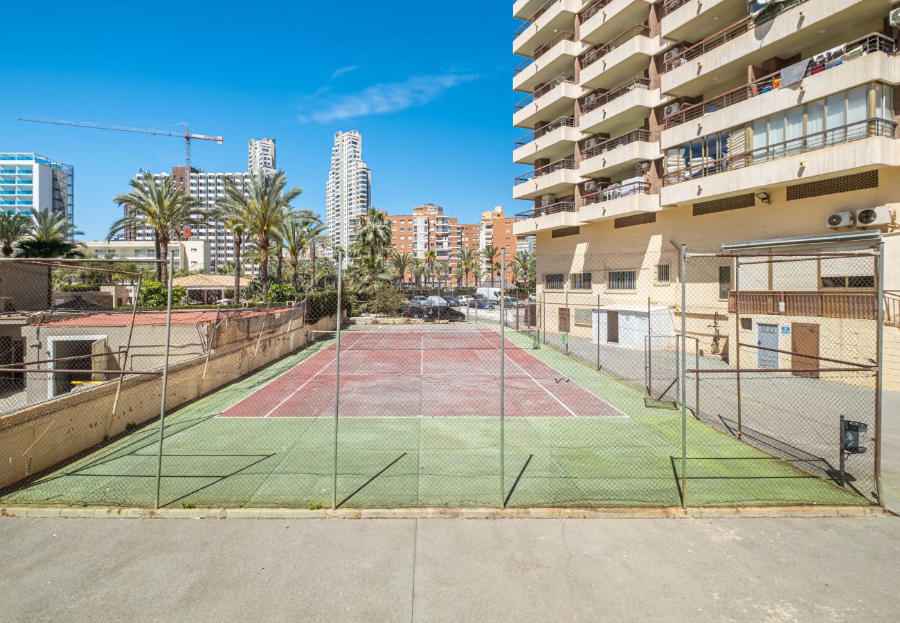 Estúdio em Benidorm - ACUARIUM 3 (STUDIO)