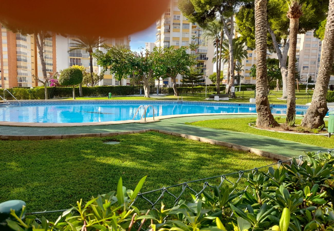 Apartamento em Benidorm - URBANIZACION MIRAMAR (1 QUARTO)