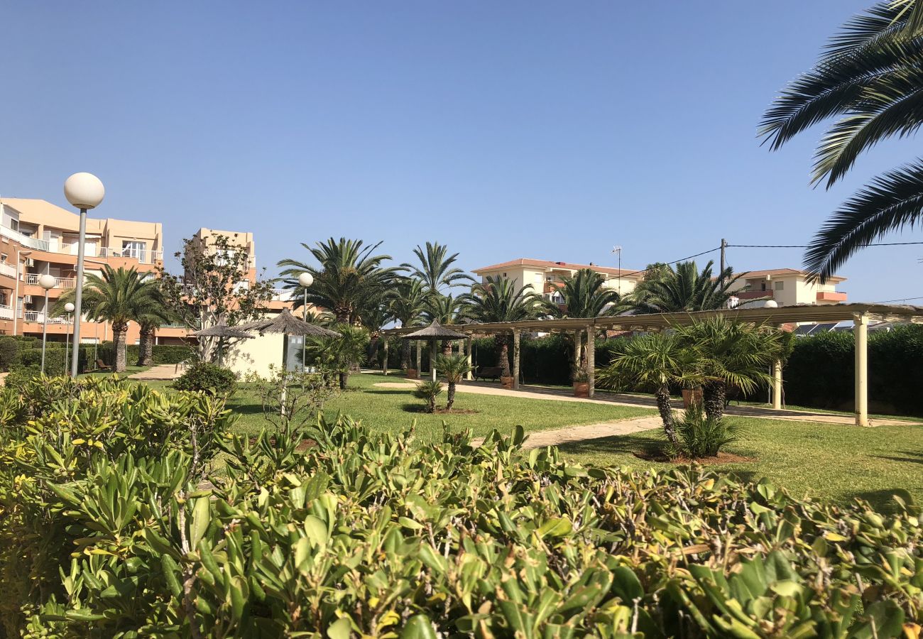 Apartment in Denia - Nice apartment by the sea in Mediterraneo Playa