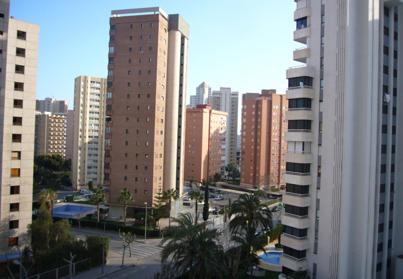 Apartment in Benidorm - PARQUE EUROPA (1 BEDROOM)